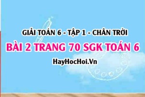 Giải bài 2 trang 70 Toán 6 Tập 1 SGK Chân trời sáng tạo